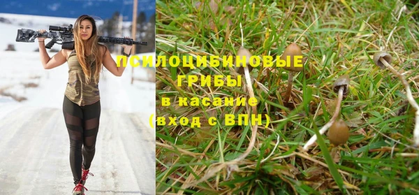 ГАЛЛЮЦИНОГЕННЫЕ ГРИБЫ Дмитров