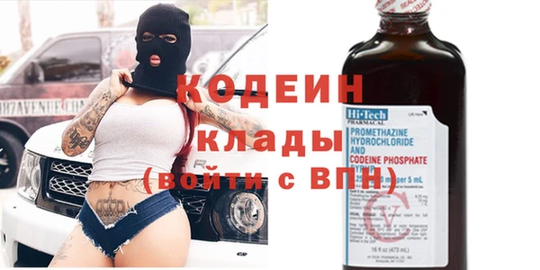 ПСИЛОЦИБИНОВЫЕ ГРИБЫ Дмитриев