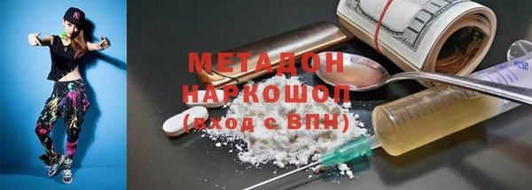 ПСИЛОЦИБИНОВЫЕ ГРИБЫ Дмитриев