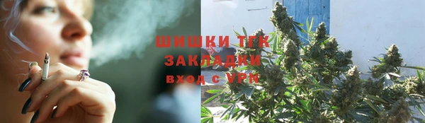 ПСИЛОЦИБИНОВЫЕ ГРИБЫ Дмитриев