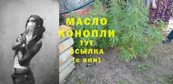 ПСИЛОЦИБИНОВЫЕ ГРИБЫ Дмитриев