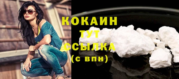 ПСИЛОЦИБИНОВЫЕ ГРИБЫ Дмитриев