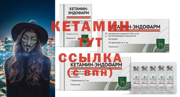 ПСИЛОЦИБИНОВЫЕ ГРИБЫ Дмитриев