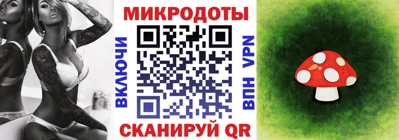 Псилоцибиновые грибы мицелий  кракен ССЫЛКА  Таганрог 